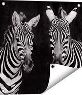 Gards Tuinposter Twee Zebra's - Zwart Wit - 50x50 cm - Tuindoek - Tuindecoratie - Wanddecoratie buiten - Tuinschilderij