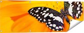 Gards Tuinposter Vlinder op een Oranje Bloem - 120x40 cm - Tuindoek - Tuindecoratie - Wanddecoratie buiten - Tuinschilderij