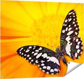 Gards Tuinposter Vlinder op een Oranje Bloem - 100x80 cm - Tuindoek - Tuindecoratie - Wanddecoratie buiten - Tuinschilderij