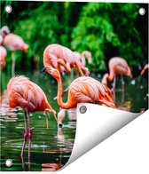 Gards Tuinposter Kudde Flamingo's in de Jungle in het Water - 40x40 cm - Tuindoek - Tuindecoratie - Wanddecoratie buiten - Tuinschilderij