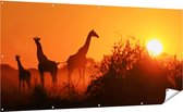 Gards Poster de jardin Trois silhouettes de girafes au coucher du soleil - 200x100 cm - Toile de jardin - Décoration de jardin - Décoration murale extérieure - Peinture de jardin