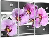 Glasschilderij Orchidee - Grijs, Paars, Wit - 120x80cm 3Luik - Foto Op Glas - Geen Acrylglas Schilderij - GroepArt 6000+ Glas Art Collectie - Maatwerk Mogelijk