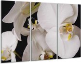 Glasschilderij Orchidee - Wit, Zwart, Geel - 120x80cm 3Luik - Foto Op Glas - Geen Acrylglas Schilderij - GroepArt 6000+ Glas Art Collectie - Maatwerk Mogelijk