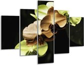 Peinture sur verre d'orchidée | Vert, marron, noir | 100x70cm 5Liège | Tirage photo sur verre |  F002723