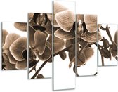 Glasschilderij -  Orchidee - Sepia, Bruin - 100x70cm 5Luik - Geen Acrylglas Schilderij - GroepArt 6000+ Glasschilderijen Collectie - Wanddecoratie- Foto Op Glas