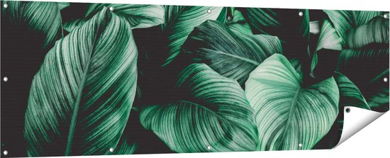 Gards Tuinposter Tropische Groene Bladeren - 180x60 cm - Tuindoek - Tuindecoratie - Wanddecoratie buiten - Tuinschilderij