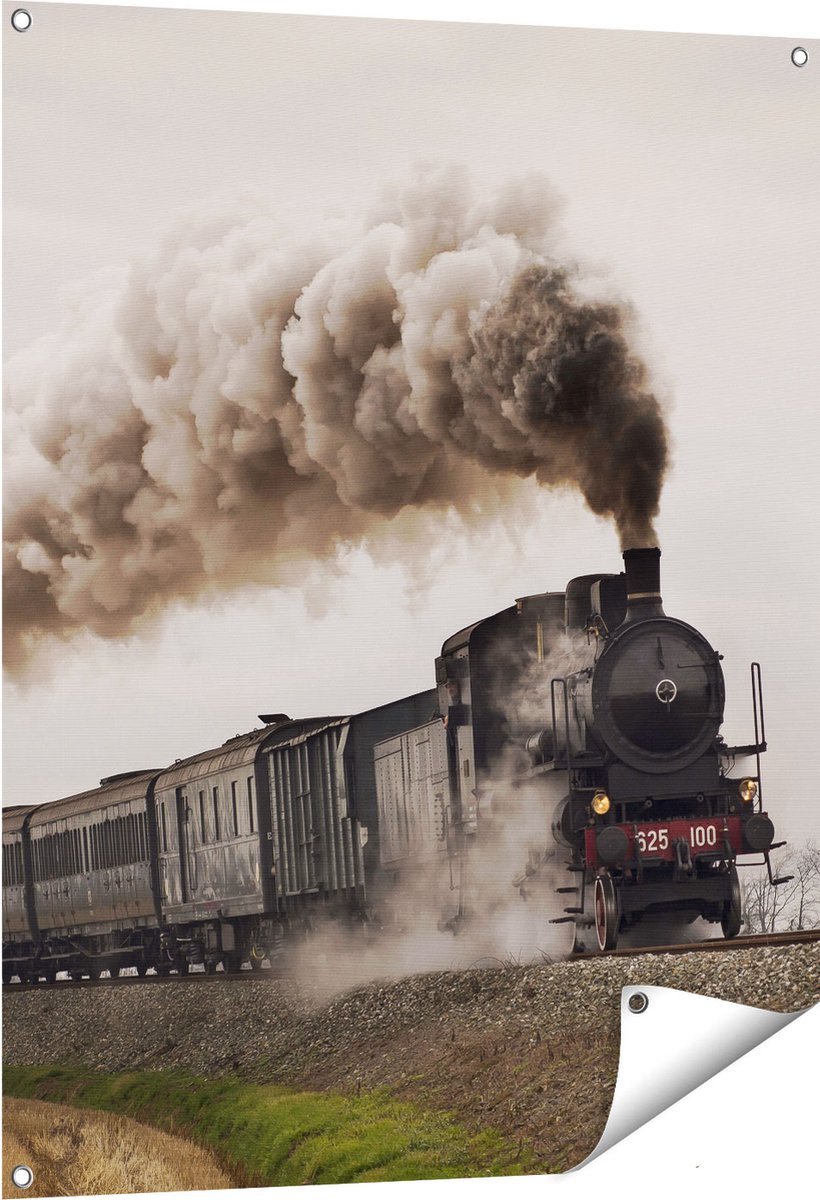 Gards Tuinposter Locomotief Trein met Rook Wolken - 80x100 cm - Tuindoek - Tuindecoratie - Wanddecoratie buiten - Tuinschilderij Multikleur