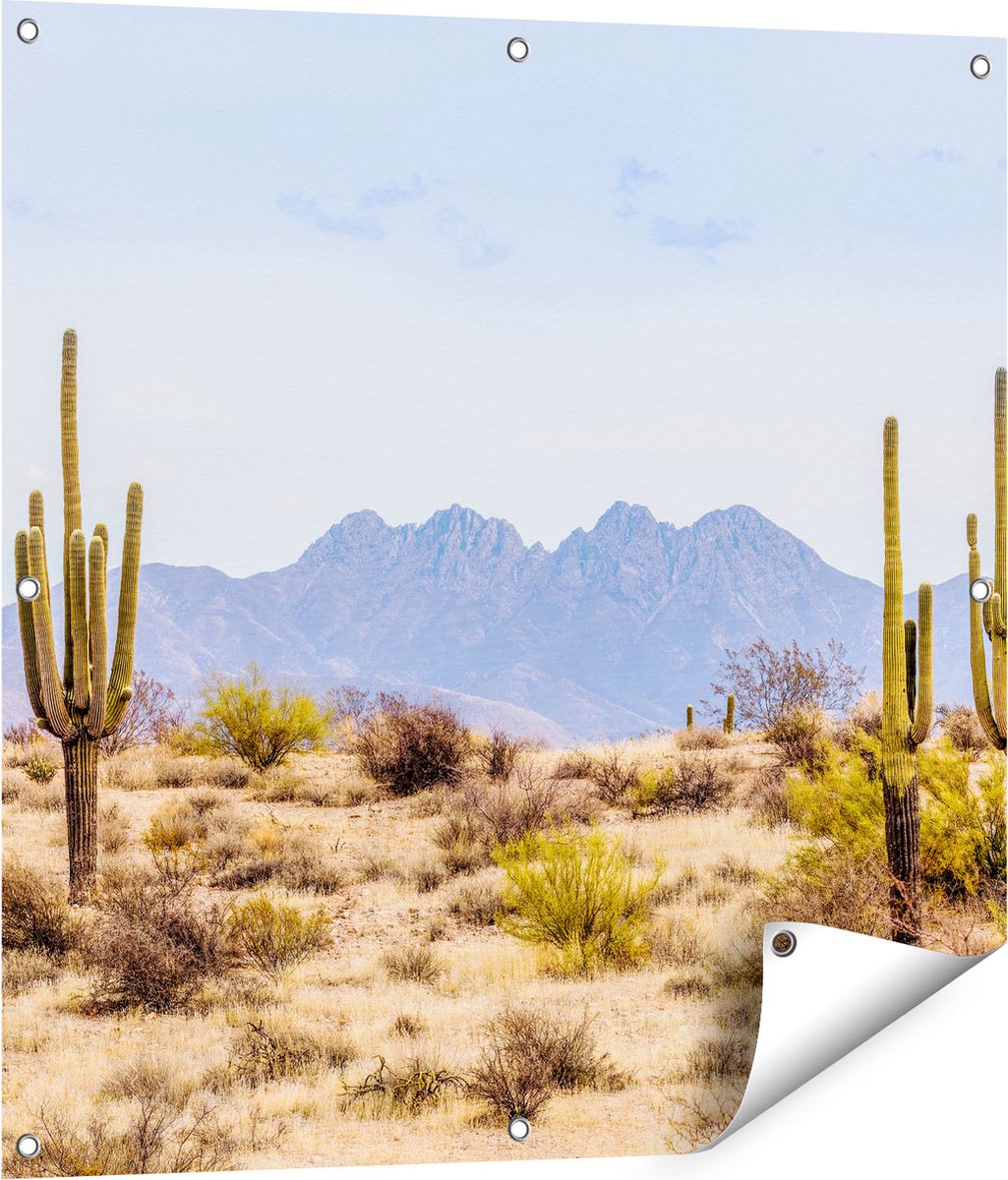 Gards Tuinposter Cactussen in de Woestijn - 80x80 cm - Tuindoek - Tuindecoratie - Wanddecoratie buiten - Tuinschilderij Multikleur