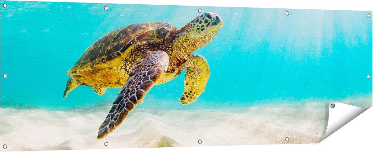 Gards Tuinposter Schildpad Zwemt in de Helder Blauwe Zee - 180x60 cm - Tuindoek - Tuindecoratie - Wanddecoratie buiten - Tuinschilderij Multikleur