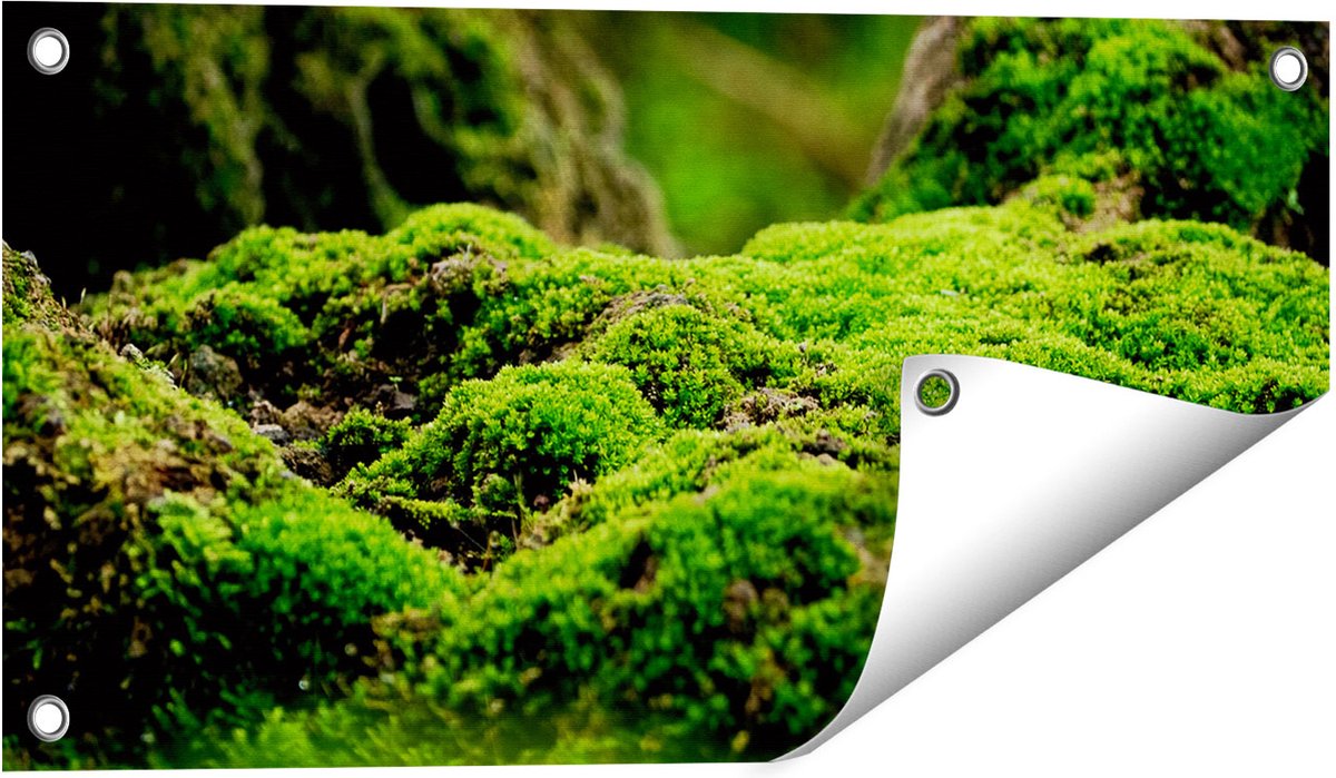 Gards Tuinposter Groen Mos - 60x30 cm - Tuindoek - Tuindecoratie - Wanddecoratie buiten - Tuinschilderij Multikleur