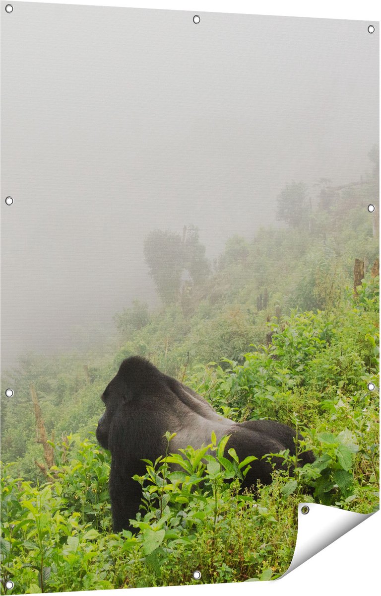 Gards Tuinposter Gorilla in het Woud tijdens de Mist - 90x120 cm - Tuindoek - Tuindecoratie - Wanddecoratie buiten - Tuinschilderij Multikleur