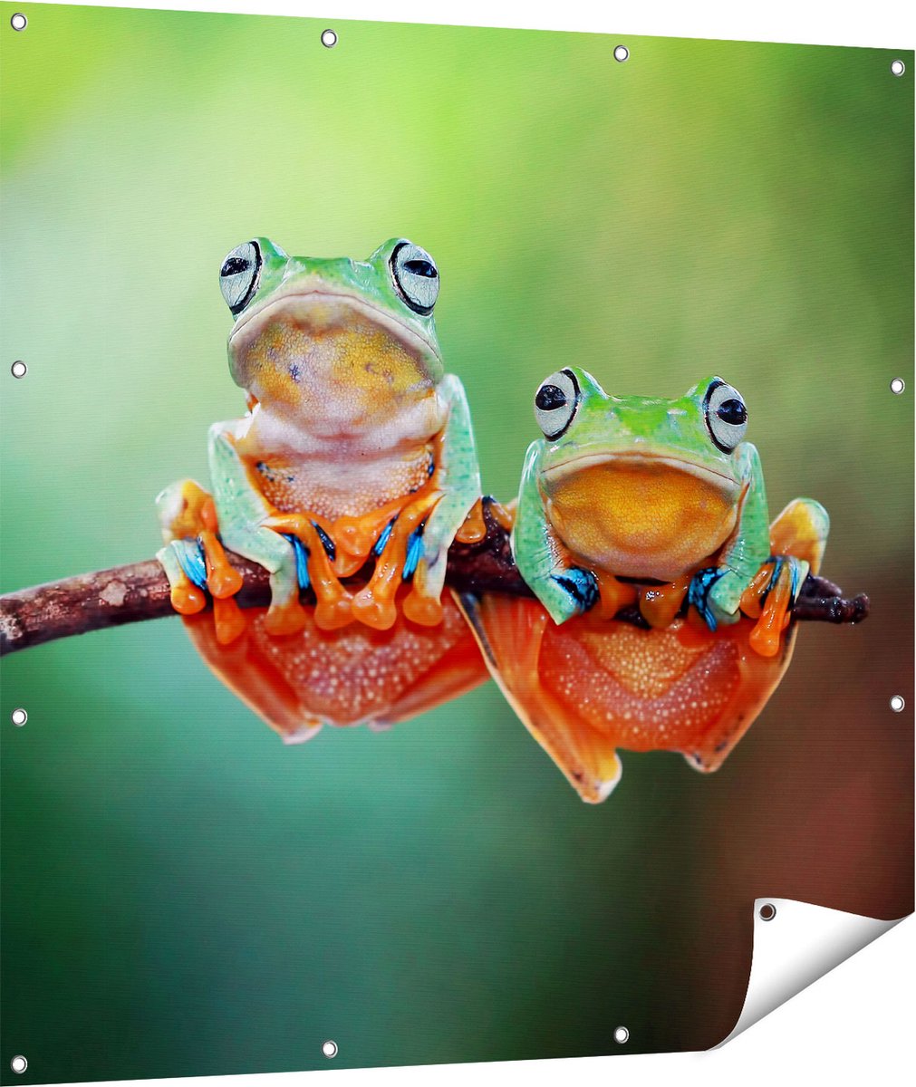 Gards Tuinposter Twee Boomkikkers op een Tak - 110x110 cm - Tuindoek - Tuindecoratie - Wanddecoratie buiten - Tuinschilderij Multikleur