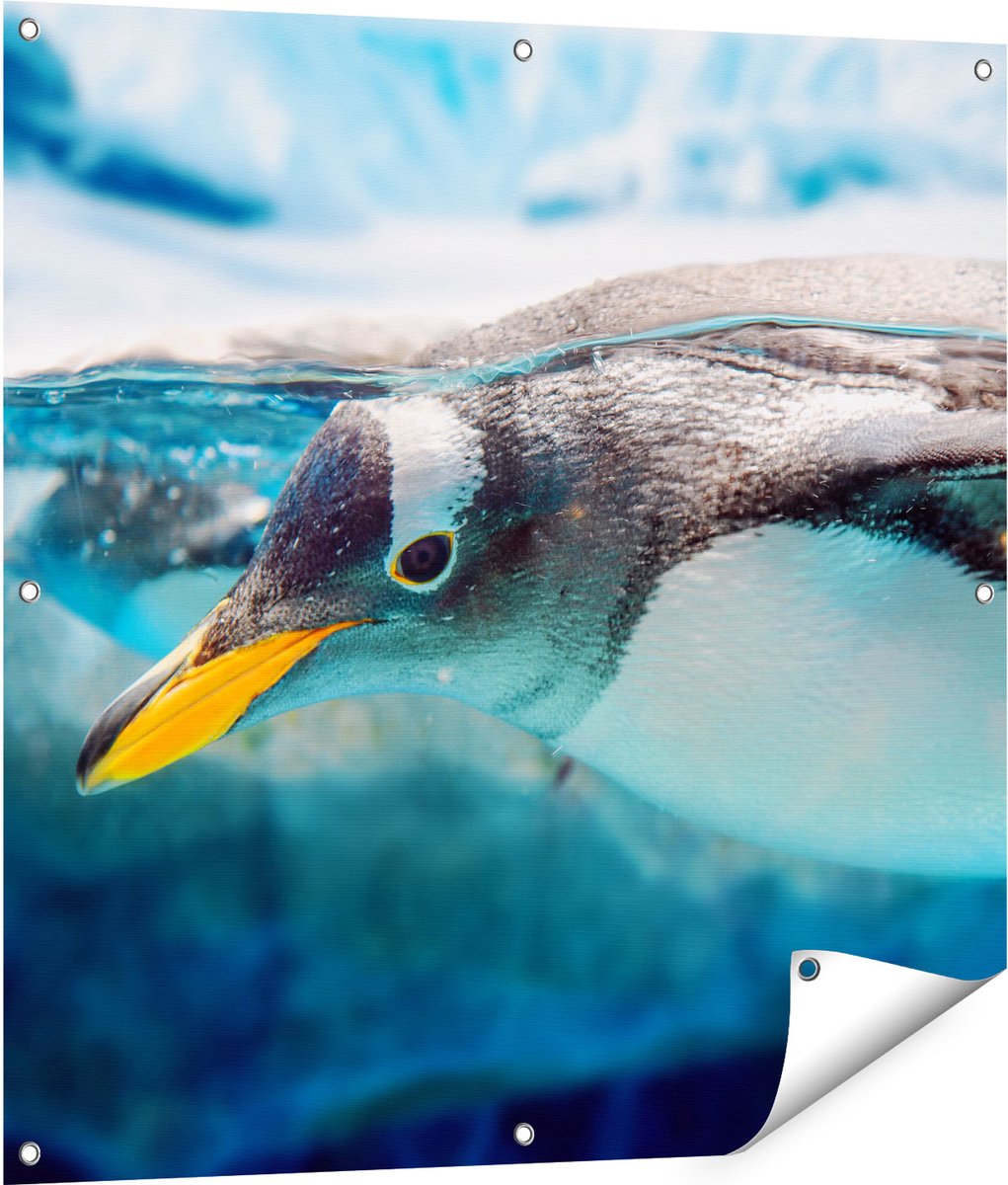 Gards Tuinposter Pingu�n Zwemt onder Water - 90x90 cm - Tuindoek - Tuindecoratie - Wanddecoratie buiten - Tuinschilderij Multikleur