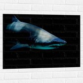 Muursticker - Gevaarlijke Haai Zwemmend door Donkere Zee - 80x60 cm Foto op Muursticker