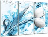 120 cm x 80 cm
