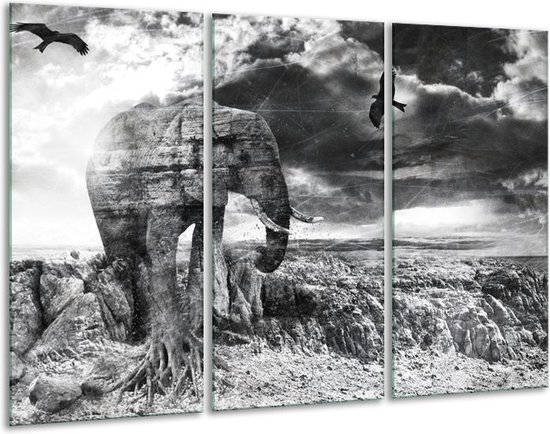 Glasschilderij Modern, Olifant - Zwart, Wit, Grijs - 120x80cm 3Luik - Foto Op Glas - Geen Acrylglas Schilderij - GroepArt 6000+ Glas Art Collectie - Maatwerk Mogelijk