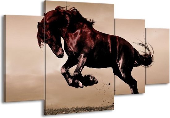 Cheval marron et noir cheap