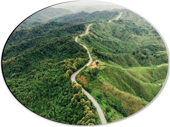 Dibond Ovaal - Golvende Weg door Dichtbegroeid Groen Berggebied - 40x30 cm Foto op Ovaal (Met Ophangsysteem)