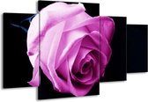 GroepArt - Schilderij -  Roos - Roze, Wit, Zwart - 160x90cm 4Luik - Schilderij Op Canvas - Foto Op Canvas