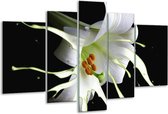 Glasschilderij Bloem - Wit, Zwart, Groen - 170x100cm 5Luik - Foto Op Glas - Geen Acrylglas Schilderij - 6000+ Glasschilderijen Collectie - Wanddecoratie