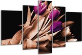 Peinture sur verre tulipe | Marron, violet, noir | 170x100cm 5 Liège | Tirage photo sur verre |  F003918