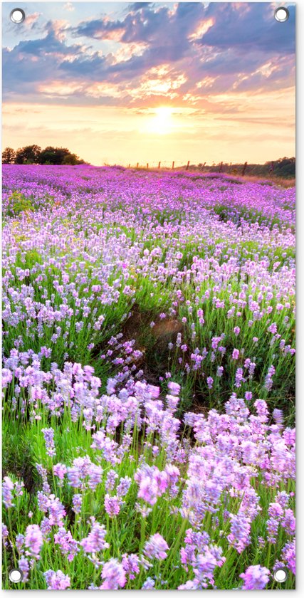 Tuinposter bloemen - Tuindecoratie lavendel paars - 40x80 cm - Tuinschilderij voor buiten - Tuindoek zonsondergang - Wanddecoratie tuin - Schuttingdoek - Balkon decoratie - Muurdecoratie natuur landschap - Buitenposter schutting