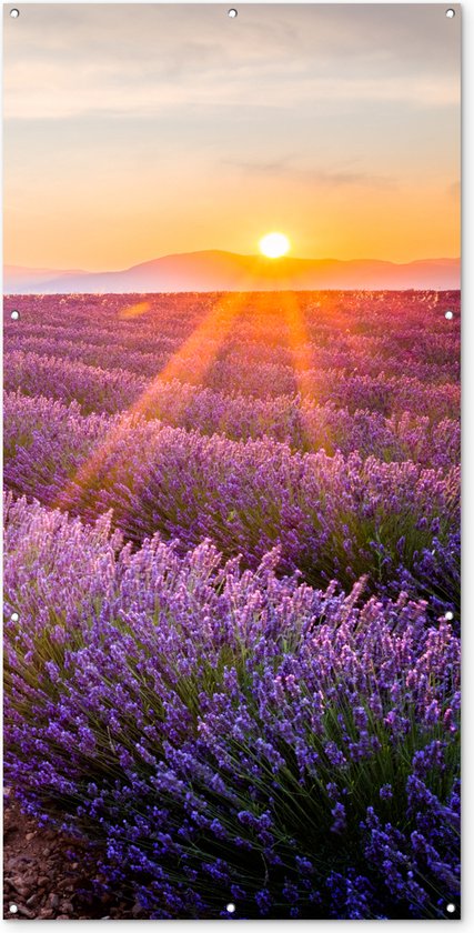 Tuinposter lavendel - Zonsondergang - Bloemen - Natuur - Paars - Tuindoek - Schuttingdoek - Tuinschilderij voor buiten - Schutting decoratie - 100x200 cm - Tuindecoratie - Tuin - Buitenposter