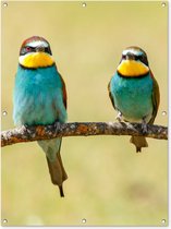 Tuinposter - Vogels - Dieren - Tak - Natuur - Mos - 90x120 cm - Tuinschilderij - Wanddecoratie - Tuindecoratie - Tuindoek