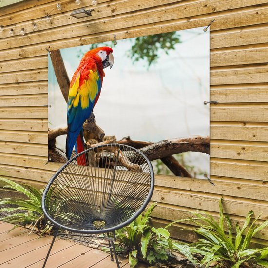 Poster de Jardin Perroquet - Vogel - Arc-en-ciel - Tropical - 200x200 cm - Toile de jardin