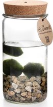 vdvelde.com - Weck glas met lamp - Ecoworld Weck Glas met Lamp + 3 mosballen - Ø 10,5 cm - Hoogte 21 cm
