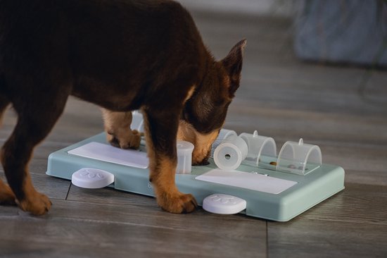 Beeztees Puppy Training Game Riff - Jouet pour chien - Vert - 35x21.5x7