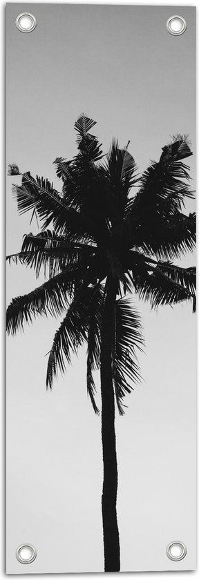 Tuinposter – Palmboom in het Zwart Wit - 20x60 cm Foto op Tuinposter (wanddecoratie voor buiten en binnen)