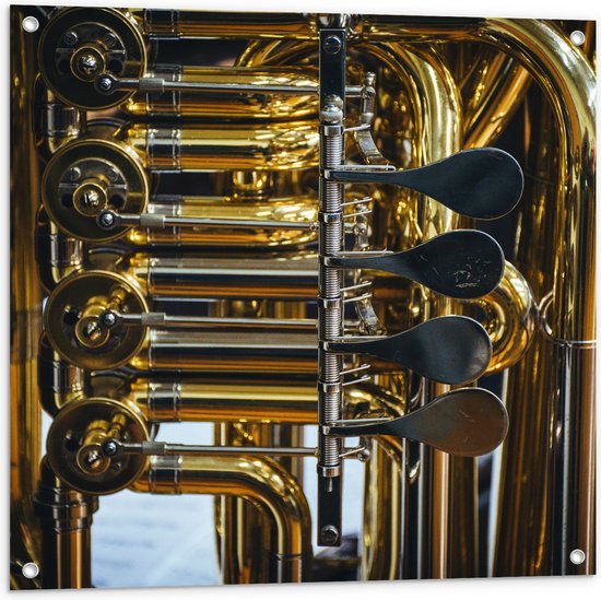 Tuinposter – Knoppen van Gouden Trompet - 80x80 cm Foto op Tuinposter (wanddecoratie voor buiten en binnen)