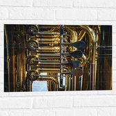Muursticker - Knoppen van Gouden Trompet - 60x40 cm Foto op Muursticker