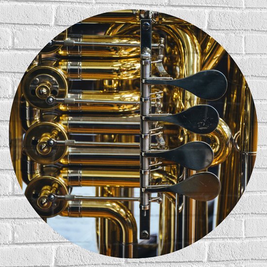 Muursticker Cirkel - Knoppen van Gouden Trompet - 80x80 cm Foto op Muursticker