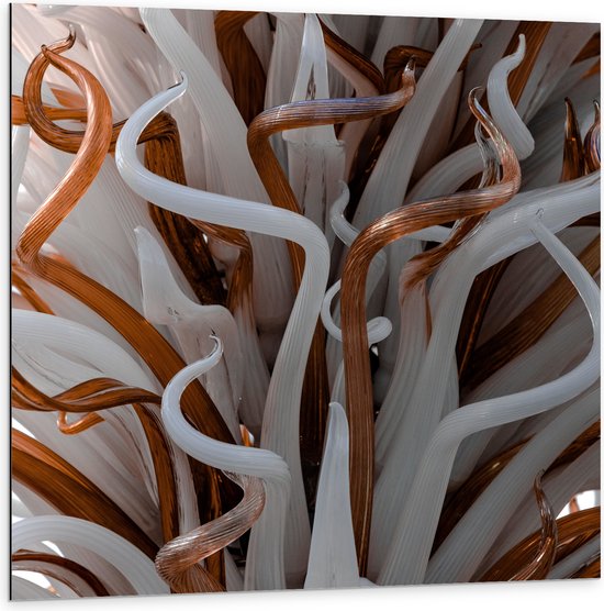 Dibond - Abstracte Bruine en Witte Kronkels - 100x100 cm Foto op Aluminium (Wanddecoratie van metaal)