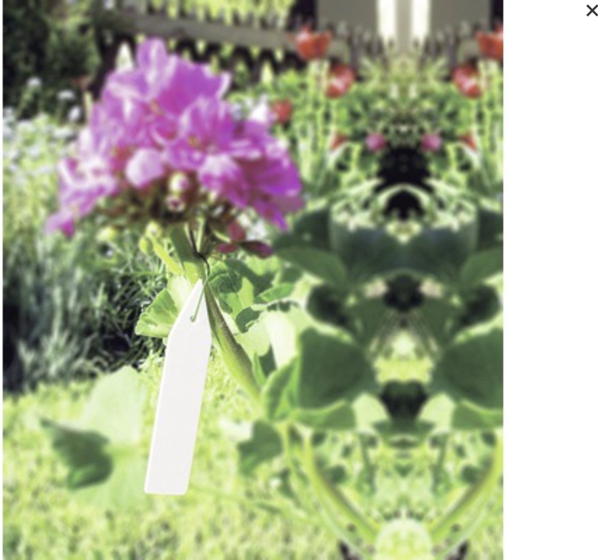 75 Stuks Bamboe Plantenlabels Met 2 Markeerpennen, 3-vormen Waterdichte Tuinlabels Plantenmarkeringen T Type Huis Vlinder 25 Stuks Elk Coating Plantlabels Voor Tuinbloemen Groenten Potzaad 10