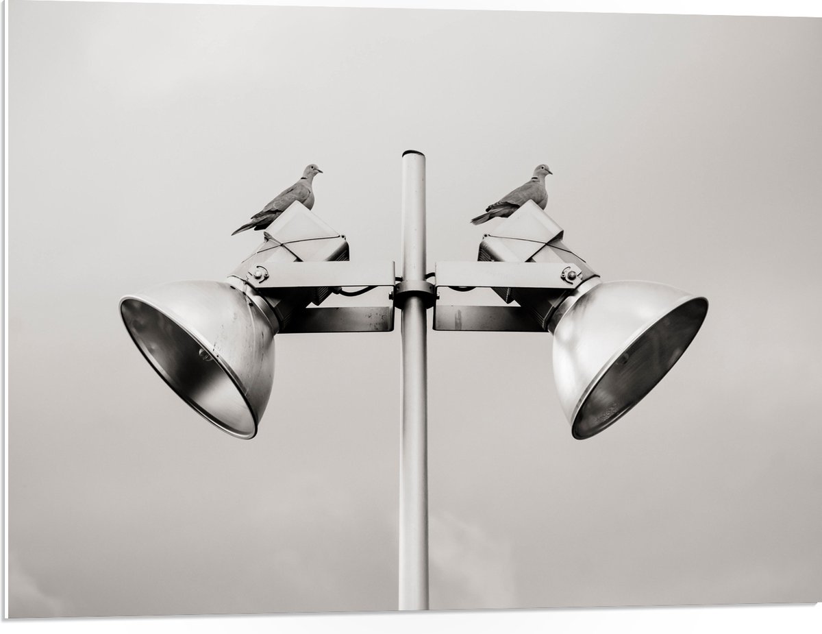 PVC Schuimplaat - Grote Speakers op Paal - 80x60 cm Foto op PVC Schuimplaat (Met Ophangsysteem)