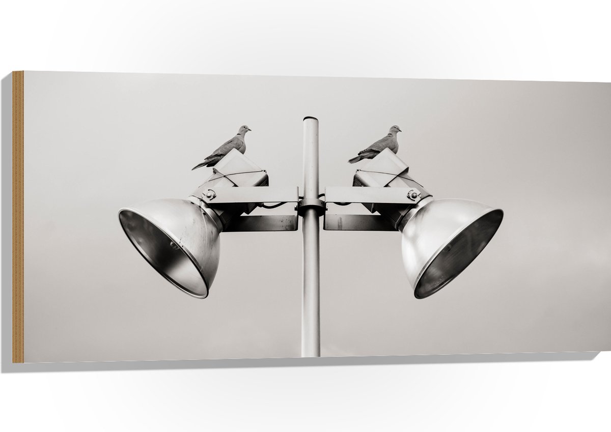 Hout - Grote Speakers op Paal - 100x50 cm - 9 mm dik - Foto op Hout (Met Ophangsysteem)