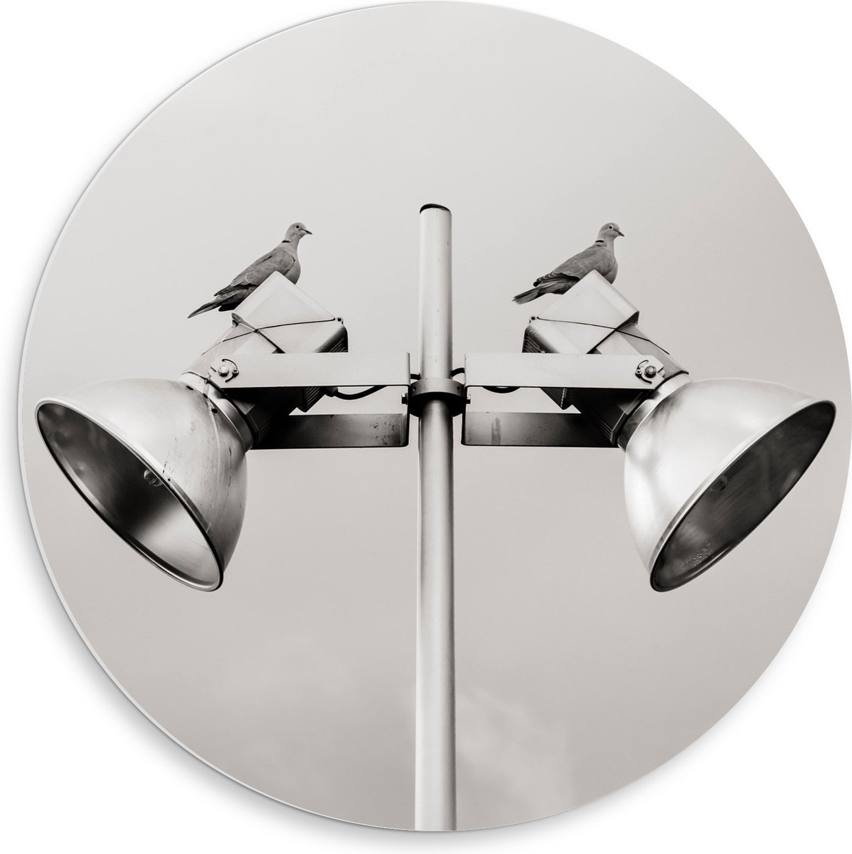 PVC Schuimplaat Muurcirkel - Grote Speakers op Paal - 50x50 cm Foto op Muurcirkel (met ophangsysteem)