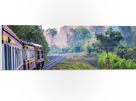 WallClassics - Panneau en mousse PVC – Train thaïlandais à travers la réserve naturelle verte en Thaïlande – Photo 60 x 20 cm sur panneau en mousse PVC