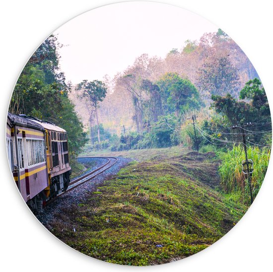 WallClassics - Cercle mural en panneau de mousse PVC – Train thaïlandais à travers la réserve naturelle verte en Thaïlande – 60 x 60 cm Photo sur cercle mural (avec système de suspension)