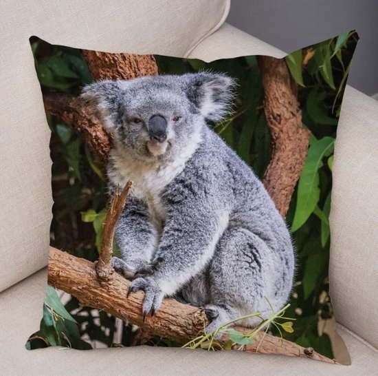 Dieren kussenhoes Koala - Koalabeer - Beer - Fotoprint - Sierkussen - 45x45 cm