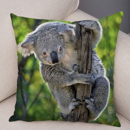 Dieren kussenhoes Koala - Koalabeer - Beer - Fotoprint - Sierkussen - 45x45 cm