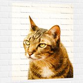 Muursticker - Prachtige Kat in het Zonlicht met Mooie Ogen - 75x100 cm Foto op Muursticker
