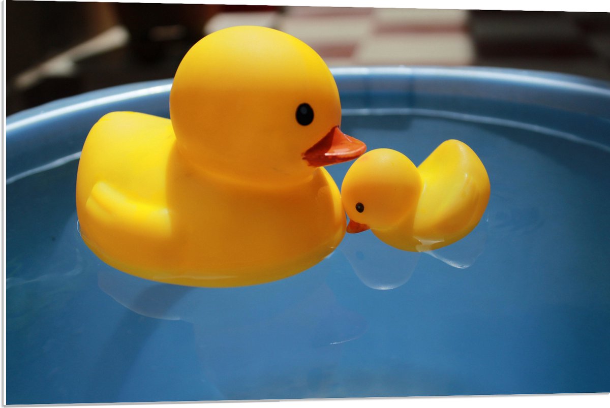 PVC Schuimplaat- Moeder en Baby Badeenden in het Water - 90x60 cm Foto op PVC Schuimplaat