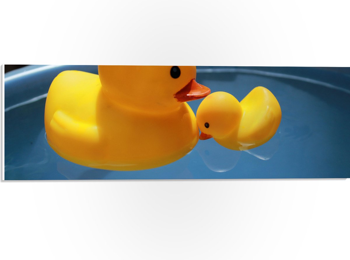 PVC Schuimplaat - Moeder en Baby Badeenden in het Water - 60x20 cm Foto op PVC Schuimplaat (Met Ophangsysteem)