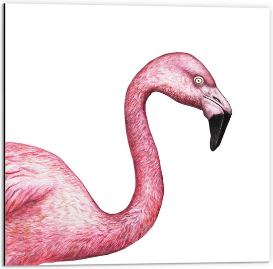 Dibond - Tekening van een Roze Flamingo - 50x50 cm Foto op Aluminium (Met Ophangsysteem)