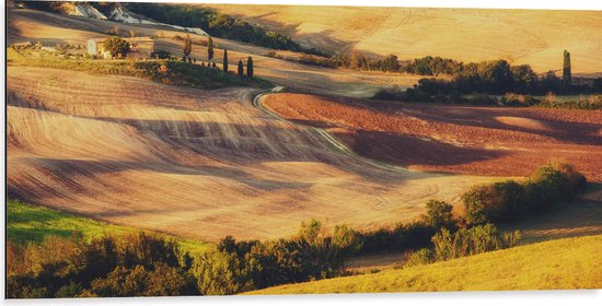 Dibond - Natuurlandschap in de Zomerse Zonnestralen - 100x50 cm Foto op Aluminium (Wanddecoratie van metaal)