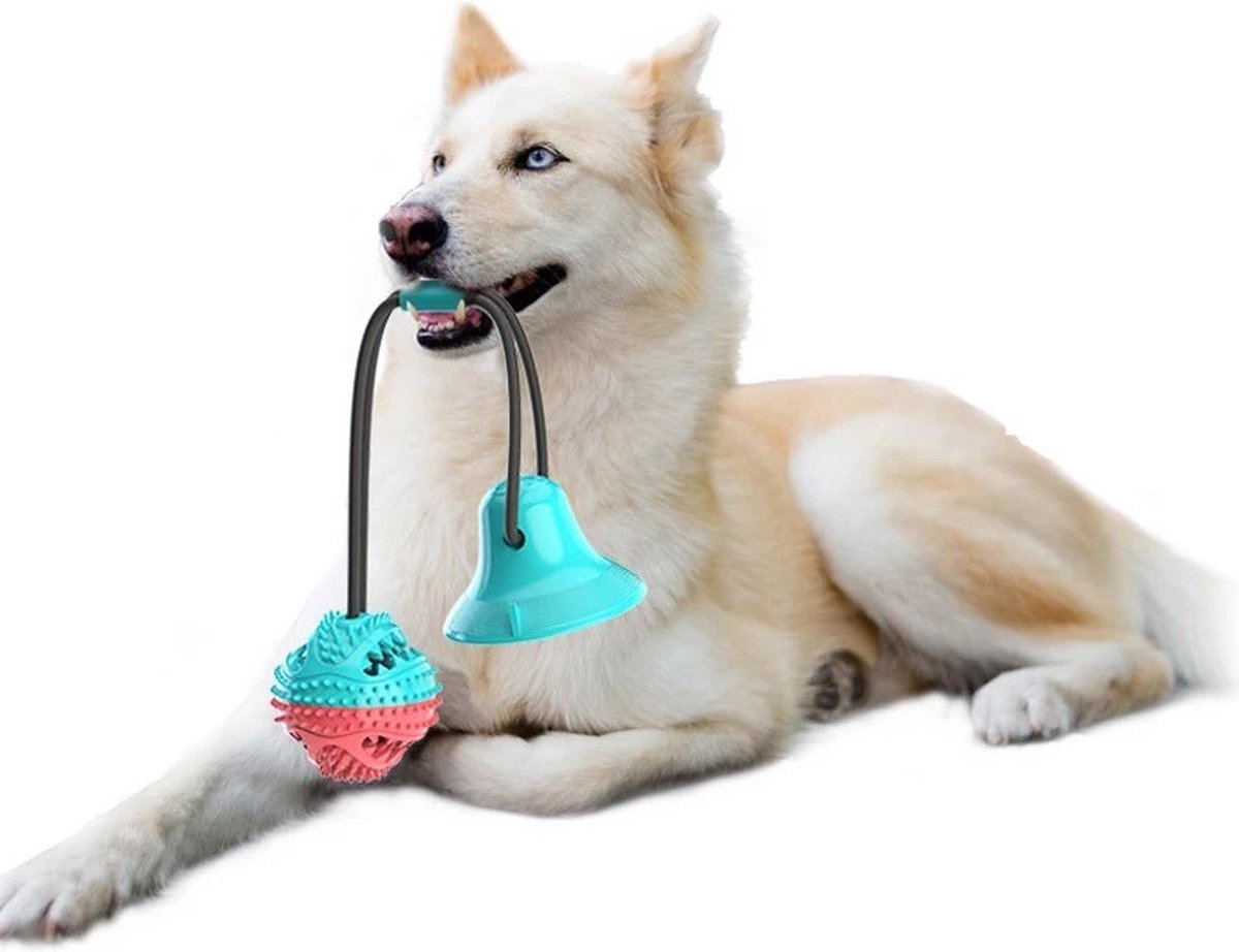 Bal touw en zuignap (Hondenspeelgoed voor uw hond